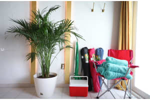 900 6th St, Miami Beach, FL 33139, Sold 06/15/21