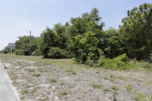 Brevard, NC, - MLS#A10995269