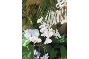 524 Osprey Dr #11d, Delray Beach, FL 33444, Sold 05/12/21