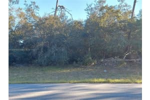 SW 43rd Ct & SW 44th Cir, Florida 34473, - MLS#A11038700