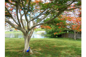 12821 SW 10th Manor, Davie, FL 33325, Sold 08/09/21