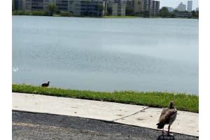 18601 NE 14th Ave, Miami, FL 33179, Sold 08/10/21