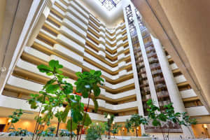 600 Biltmore Way, Coral Gables, FL 33134, Sold 10/15/21