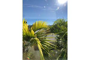 1521 Lenox Ave, Miami Beach, FL 33139, Sold 05/05/22