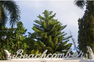 320 85th St APT 5, Miami Beach, FL 33141, Sold 09/09/22