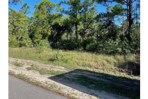 1201 Dixie Ave Lehigh Acres, FL 33972 - MLS#A11246737