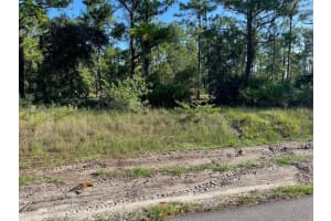 1201 Dixie Ave Lehigh Acres, FL 33972 - MLS#A11246737