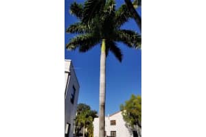 9447 Fontainebleau Blvd APT 114, Miami, FL 33172, Sold 09/09/22
