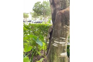 7920 Sanibel Dr, Tamarac, FL 33321, Sold 11/29/22