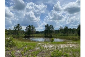 24939 N County Road 33 Other, FL 34736 - MLS#A11272607