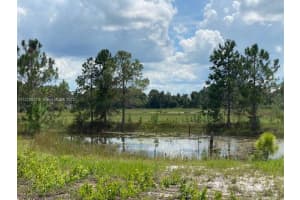 24939 N County Road 33 Other, FL 34736 - MLS#A11272607
