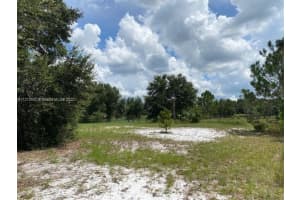 24939 N County Road 33 Other, FL 34736 - MLS#A11272607