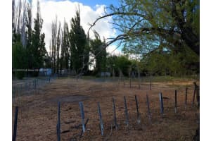 La Patagonia Tehuelches Provincia Del Chubut Argentina ,, FL  - MLS#A11291819
