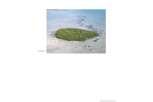 99 Don Quixote Key Big Pine Key Other, FL 33043 - MLS#A11296604