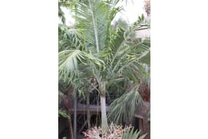 8615 NW 8th St APT 414, Miami, FL 33126, Sold 02/22/23