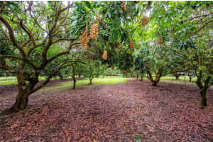 24350 Sw 182nd Ave Miami, FL 33031 - MLS#A11406395