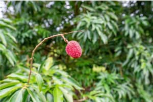 24350 Sw 182nd Ave Miami, FL 33031 - MLS#A11406395