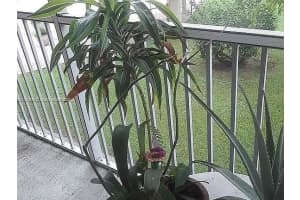 4025 N Federal Hwy #224b, Fort Lauderdale, FL 33308, Sold 10/31/23