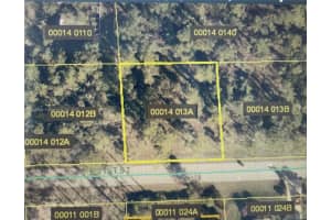 3305 E 21st St Lehigh Acres, FL 33920 - MLS#A11418920