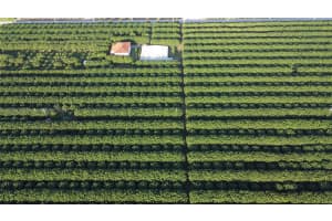 33300 SW 202nd Ave, Homestead, FL 33034, - MLS#A11428140