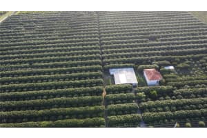 33300 SW 202nd Ave, Homestead, FL 33034, - MLS#A11428140