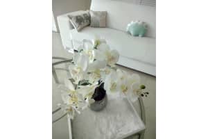 3801 S Ocean Dr #11s, Hollywood, FL 33019, Sold 10/05/23