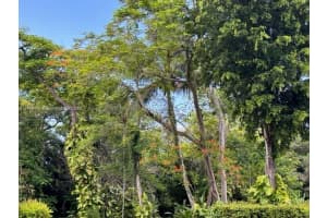 MLS# A11444443, Miami, Florida 33161