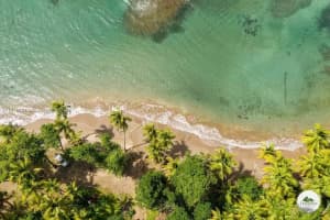 0 Calibishe, Dominica ,, FL 00000 - MLS#A11476623