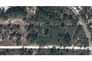 341 Moon River Ave Lake Placid, FL 33852 - MLS#A11482087