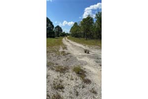341 Moon River Ave Lake Placid, FL 33852 - MLS#A11482087