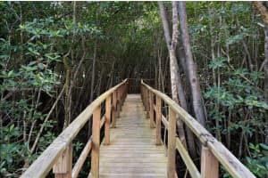 6145 Paradise Point Dr, Palmetto Bay, FL 33157, Sold 02/29/24