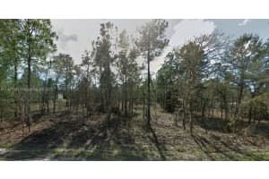 SE 6th St, Williston, FL 32696, Sold 11/14/24