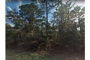 3238 Dean Avenue Lake Placid, FL 33852 - MLS#A11487801