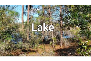 535 Purple Finch Drive, Lake Placid, FL 33852, Sold 05/29/25