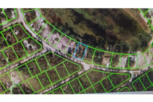 535 Purple Finch Drive, Lake Placid, FL 33852, Sold 05/29/25