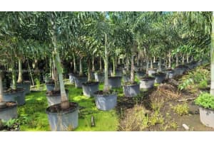 MLS# A11498818, Miami, Florida 33187