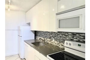 1251 NE 108th St APT 425, Miami, FL 33161, Sold 04/16/24