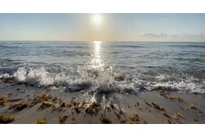 5401 Collins Ave #139, Miami Beach, FL 33140, Sold 03/22/24