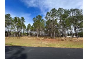 SE 175th Terrace Rd, Florida 32195, Sold 03/11/25
