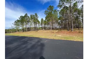 SE 175th Terrace Rd, Florida 32195, Sold 03/11/25