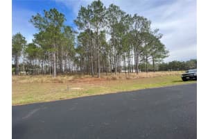 SE 175th Terrace Rd, Florida 32195, Sold 03/11/25