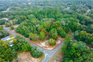 4 Guava Terrace, Ocklawaha, FL 32179, Sold 06/13/25