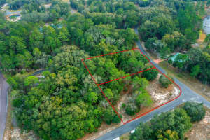 4 Guava Terrace, Ocklawaha, FL 32179, Sold 06/13/25