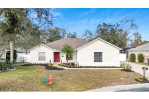 311 Paradise Woods Pl, Davenport, FL 33896, Sold 07/22/24