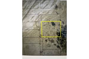 SW 160th St, Florida, Sold 11/15/24