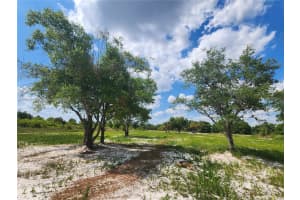 17212 NW 288th St, Okeechobee, FL 34972, Sold 04/08/25