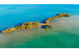 1 Bird Key Miami, FL 33138 - MLS#A11576936
