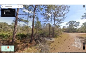 1245 KUMQUAT ST, Lake Placid, FL 33852 - MLS#A11581380