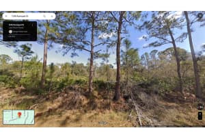 1245 KUMQUAT ST, Lake Placid, FL 33852 - MLS#A11581380