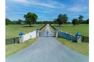 7787 NW 150th Ave, Morriston, FL 32668, - MLS#A11582226